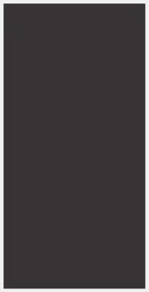 Skydecor WARM BLACK