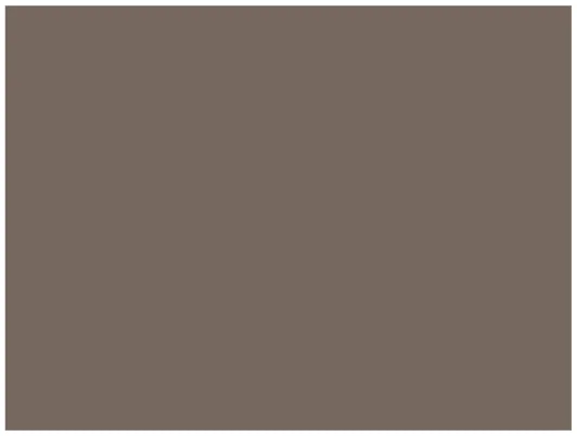 Skydecor CHARCOAL GREY