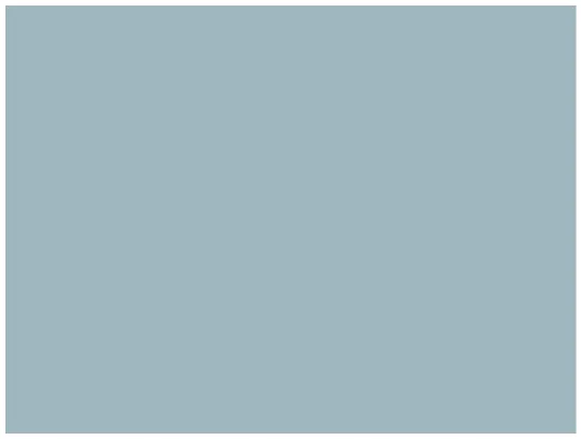Skydecor BLUISH GREY METALLIC