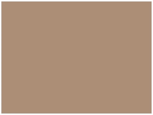 Skydecor DARK TRUFFLE