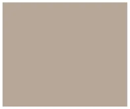 Skydecor BEIGE