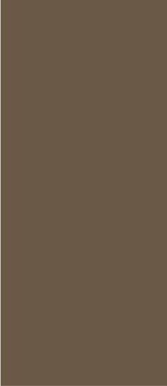 Safedecor Design 10-063