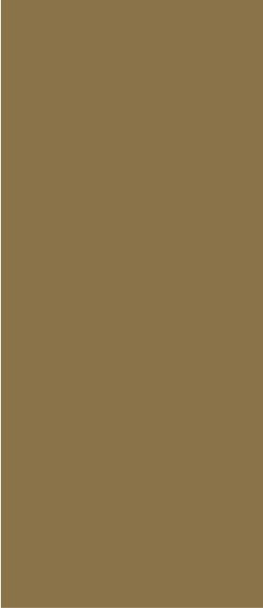 Safedecor Design 10-066