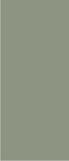 Safedecor Design 10-069