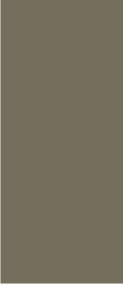 Safedecor Design 10-071