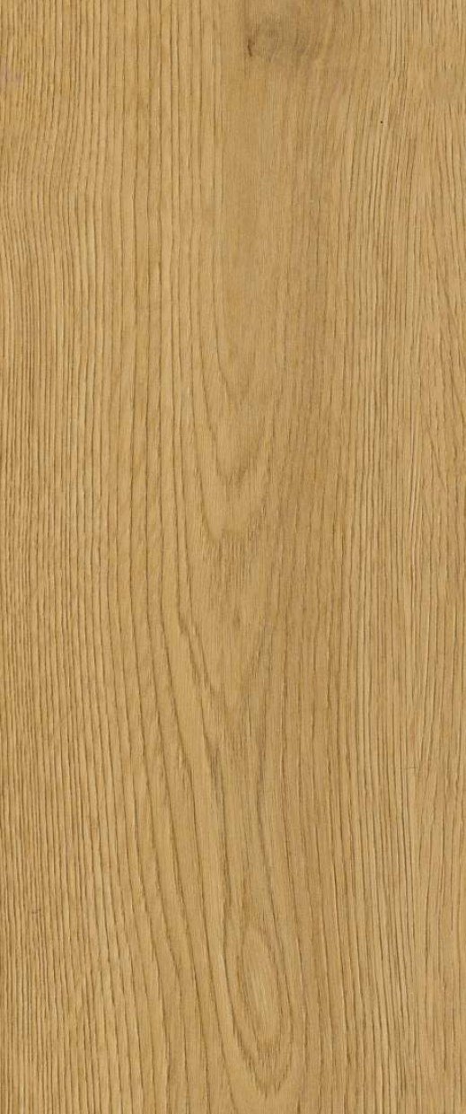 Safedecor Design 11-461