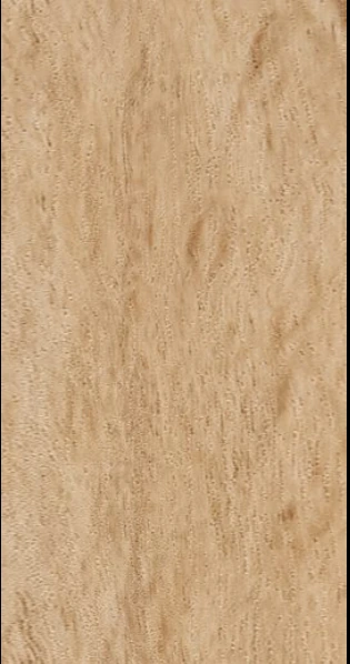 Treelam HDPC Wall Panel LV 322